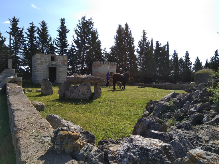 The guided visit of the masseria